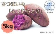 さつまいも「ふくむらさき」5kg(茨城県共通返礼品・行方市産)