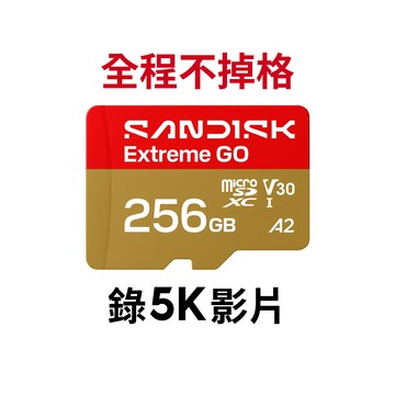 【蝦皮直營】SANDISK Extreme GO 256G microSDXC U3 UHS-I V30記憶卡 廠商直送