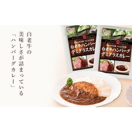 ふるさと納税 ＜ウエムラ牧場＞白老牛ハンバーグカレー・シチューセット  北海道白老町