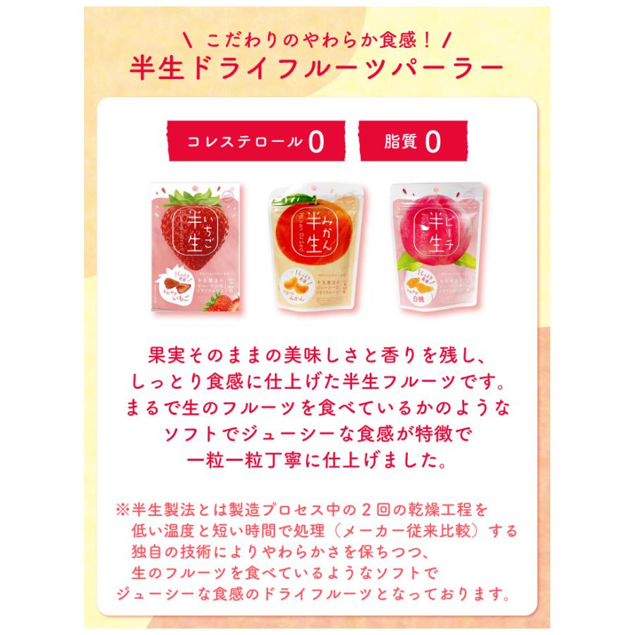 おいしい半生ドライフルーツ3種9個セット 現在出荷分 賞味期限 ピーチ：2024.4.3 みかん：2024.4.4 いちご：2024.5.3