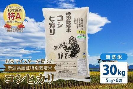 お米マイスターが育てた特別栽培米 精米コシヒカリ 上越産 令和5年産 30kg(5kg×6袋)無洗米