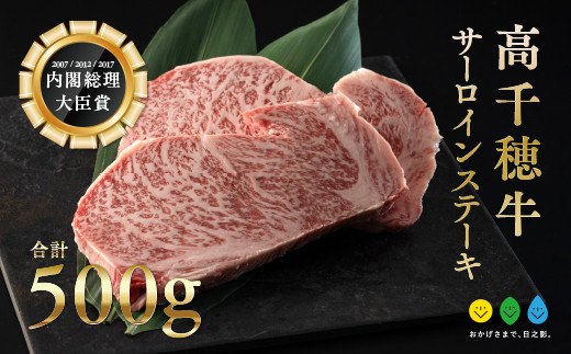 高千穂牛 サーロインステーキ(250g×2枚)