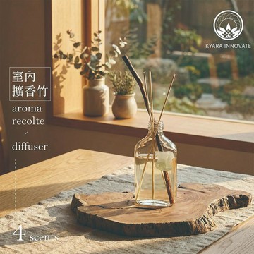 \t【this-this】日本KYARA aroma recolte diffuser 室內擴香竹
