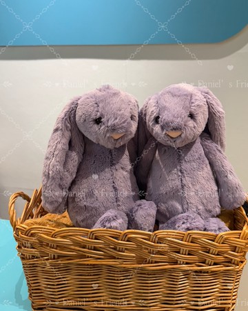JELLYCAT-害羞紫羅蘭邦尼兔
