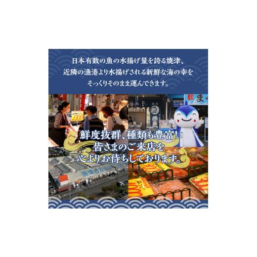 ふるさと納税 静岡県 焼津市 a10-679　焼津特選 生桜えび100g×3