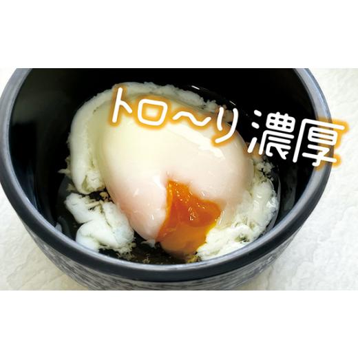 ふるさと納税 茨城県 坂東市 No.217 伝承卵「みやこじ」と「温泉たまご」の詰合せ ／ タマゴ 玉子 茨城県 特産品