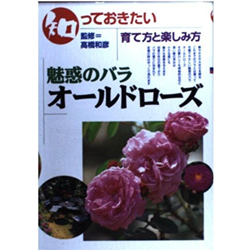 知っておきたい 魅惑のバラ オールドローズ?育て方と楽しみ方