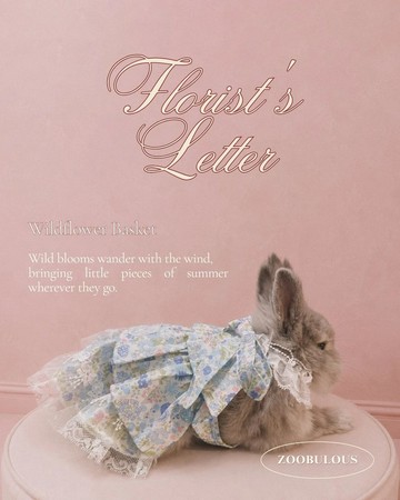 Florist's Letter 碎花洋裝—夏野花籃 Wildflower Basket