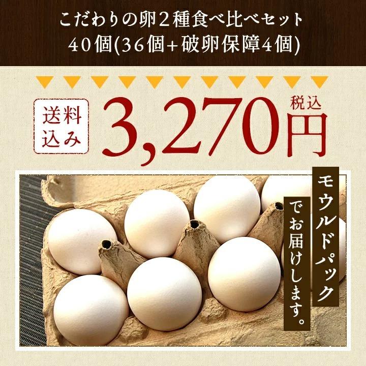 二種食べ比べセット 高級名古屋コーチンの卵（20個入り）＋くしたま白卵（20個入り） 送料無料 合計40個入り 食品 卵 鶏卵 40個