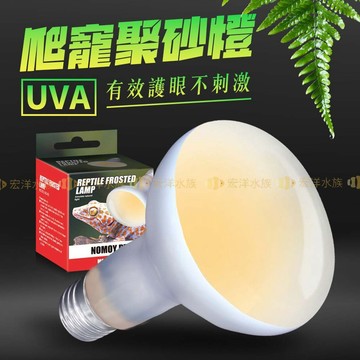 宏洋水族【UVA燈炮☆諾摩】加溫燈、曬背燈〞陸龜燈／爬蟲燈／爬蟲日燈／爬蟲加溫燈／聚熱燈泡／加熱燈／保溫燈／保暖燈
