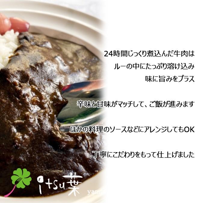 レトルトカレー　牛タンホワイトストロガノフ　牛タンシチュー　おかもとのカレー　選べる1人前200g×2袋　クリックポスト　itsu葉