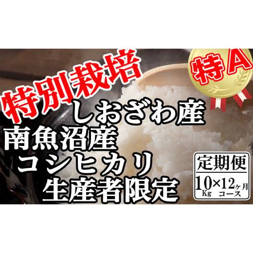 ふるさと納税 新潟県 南魚沼市 特別栽培 生産者限定 南魚沼しおざわ産コシヒカリ