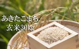  玄米 30kg （10kg×3袋） ／ 新米 米 産地直送 