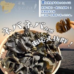 ふるさと納税 岬だよりのコリコリ食感・粘り抜群の乾燥めかぶ　120g×10袋 愛知県南知多町