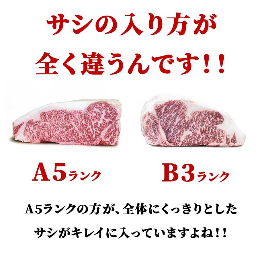 お歳暮 御歳暮 肉 焼肉 牛肉 霜降り 黒毛和牛 A5 ブロック 塊 サーロイン 800g 冷凍 プレゼント ギフト 贈り物