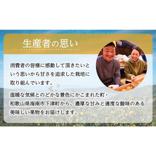 ふるさと納税 和歌山県 海南市 不知火（完熟栽培）樹上約300日　15玉〜28玉　5kg　赤秀品