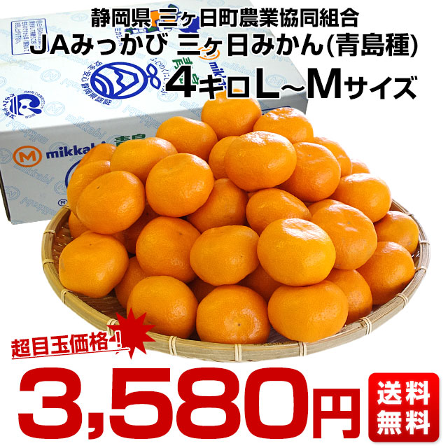 静岡県より産地直送 JAみっかび 三ケ日みかん (青島種)  LからMサイズ  4キロ 送料無料 三ヶ日 みつかび ミカン 温州みかん