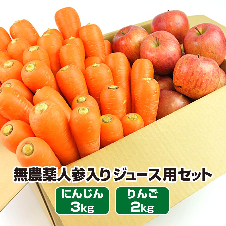 人参 無農薬にんじん 野菜セット 無農薬野菜 にんじんジュース ジュース用 にんじん3kg＋りんご2kg ゲルソン療法にも最適 訳あり