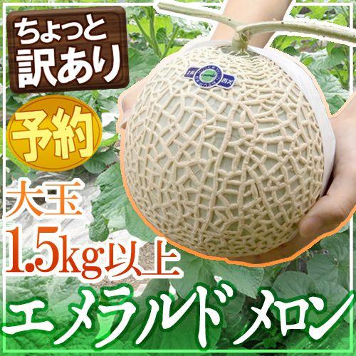 メロン 高知県夜須産 ”エメラルドメロン” ちょっと訳あり 大玉 約1.5kg以上 送料無料