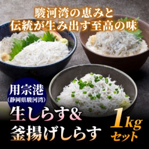 しらすのハーフ丼に！静岡県産 生しらす＆釜揚げしらす 1kgセット しらす シラス 静岡 用宗港 しらす丼 駿河湾 冷凍