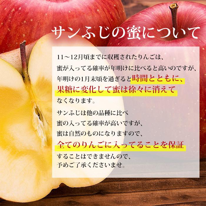 りんご 青森県産 サンふじ 訳あり 約5kg 16〜20玉