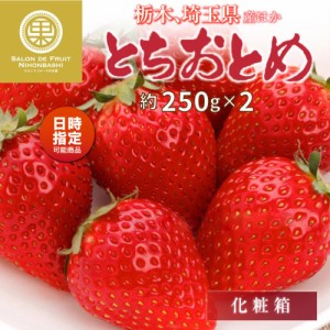 [予約 2024年1月5日-1月30日の納品] とちおとめ 約 250g×2 栃木県産他 果実専用箱 いちご 上級品