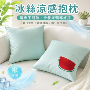 桃園出貨✨冰絲涼感抱枕套 夏季沙發床頭靠墊 辦公室午休靠枕不含芯