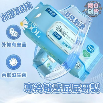 🚀隔日到貨🔥 80抽超大加厚款濕紙巾 抗菌濕式衛生紙 濕紙巾 濕巾 潔膚濕巾 抗菌濕紙巾 濕式衛生紙 濕廁紙 純水濕紙巾