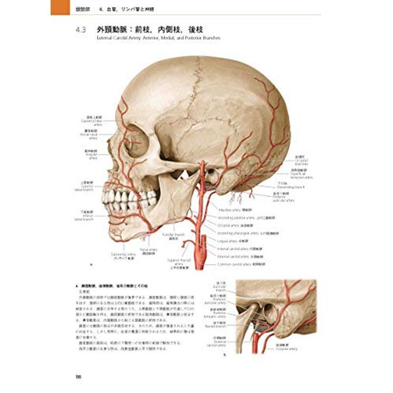 プロメテウス解剖学アトラス 頭頸部 神経解剖 第3版