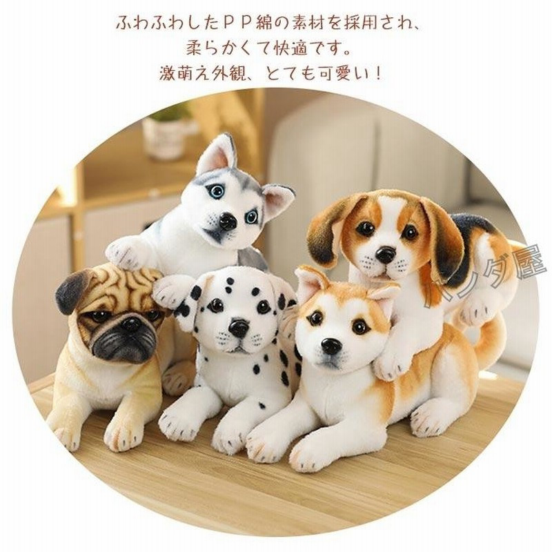 犬 ぬいぐるみ リアルいぬ ぬいぐるみ 動物 アニマル 人形