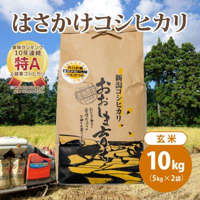 ふるさと納税 上越市 限定米令和5年産 新潟上越大島産 特A棚田はさがけ天日干し米コシヒカリ10kg(5kg×2)玄米