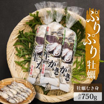 ふるさと納税 石巻市 ぷりぷり牡蠣 750g(生食用)