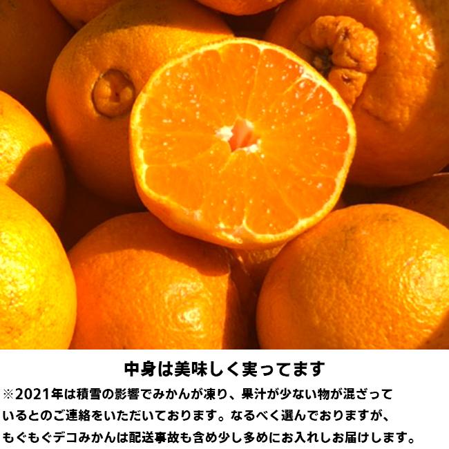 愛媛産 ご家庭用 農家さんもぐもぐ 外なり訳ありデコみかん 5kg( 約0.5kg多め) デコポン でこぽん 不揃い  フルーツ 果物 くだもの みかん 柑橘類