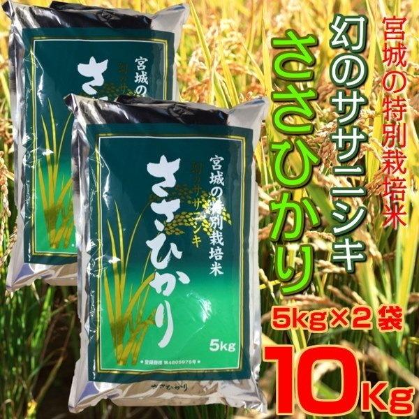 新米 お米 白米 精米 ささひかり 5kg×2袋 10kg 令和5年 宮城県産 幻の ...