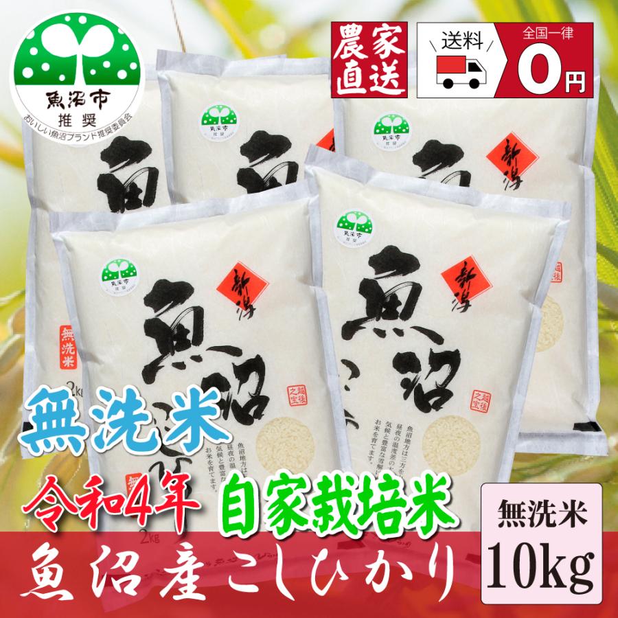 新米 お米１０ｋｇ 無洗米 令和５年産 魚沼産コシヒカリ 2Kg×5袋 安心安全 信頼と品質のお米 魚沼市推奨コシヒカリ 送料無料