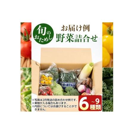 ふるさと納税 No.788 旬の野菜の詰め合わせ(6~9種類) 鹿児島県日置市