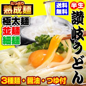 20時間熟成  半生 讃岐うどん 3種麺 つゆ付きセット 極太麺 並麺 細麺 750g 送料無料 最安値挑戦 お取り寄せ お試し 23