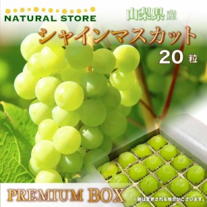 [最短順次発送]  シャインマスカット 20粒 大粒 プレミアムボックス ジュエルボックス 山梨県産 高糖度 マスカット 夏ギフト 夏ギフト お