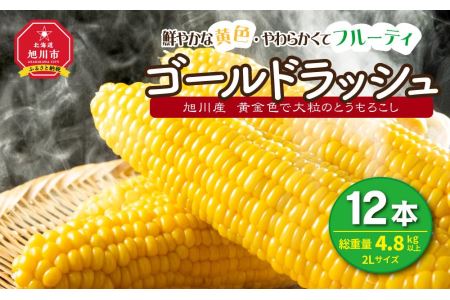 黄金色で大粒 ゴールドラッシュ 12本 4.8kg (2024年8月下旬～発送開始予定)