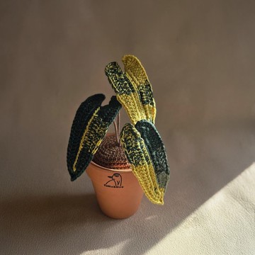 斑葉橘梗綠曼絨-手作編織植物