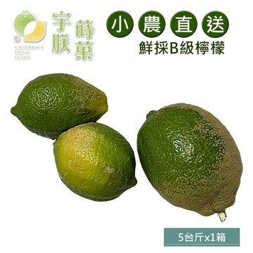 預購【宇朕蒔果】100%台灣農民直配B級有籽檸檬(5台斤/箱)