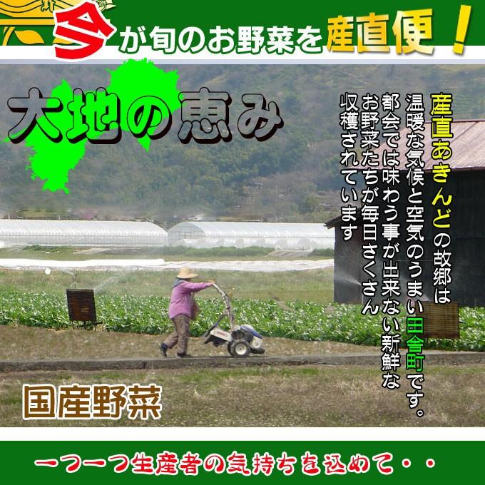 産直あきんど厳選野菜の詰め合わせ15品セット　送料無料