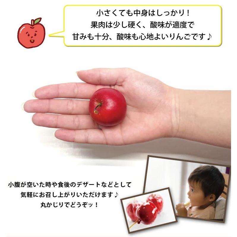りんご  青森県産 ミニふじ 家庭用 訳あり1kg あおもり乙女 送料無料 林檎