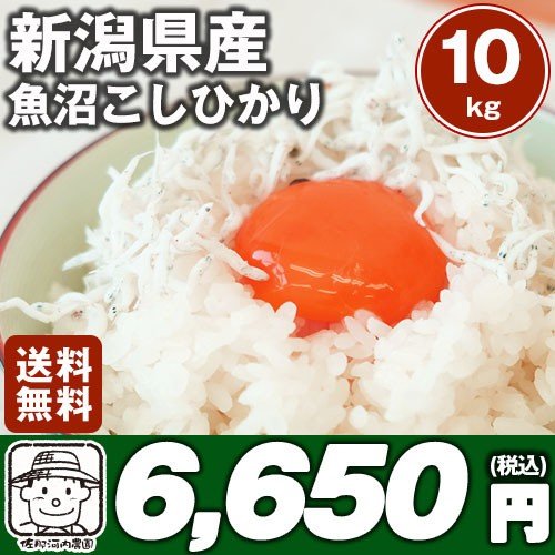 令和５年産　日本一の新潟魚沼産コシヒカリ 10kg送料込み※北海道、沖縄及び離島は別途発送料金が発生します