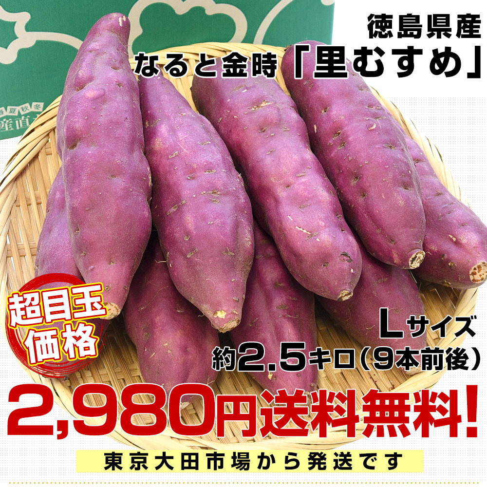 徳島県産 JA里浦 なると金時「里むすめ」 Lサイズ 約2.5キロ 9本前後 送料無料 きんとき さつまいも サツマイモ　薩摩芋 新芋 高系14号 市場発送