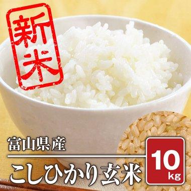 富山県産 こしひかり(令和4年) 10kg