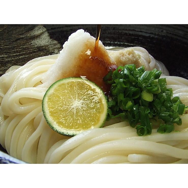 送料無料 うどん 金福純生 讃岐うどん ！1人前食べ切り個包装タイプ！5食セット ネコポス お試し 讃岐 送料無 激安 生麺 生うどん