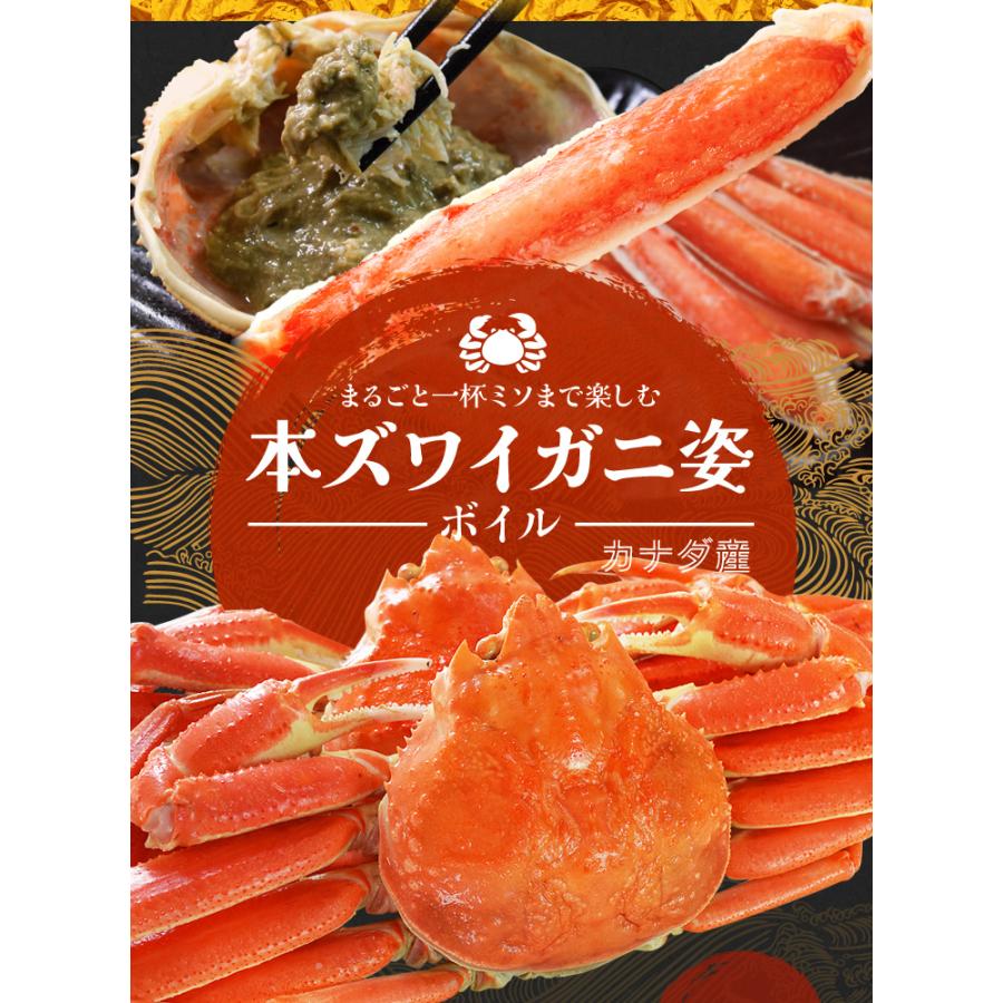 かに ずわいがに ボイル 姿 ５尾で３ｋｇ前後（６００ｇ前後×５ハイ） かにみそ 年末年始 送料無料 本ズワイガニ 蟹