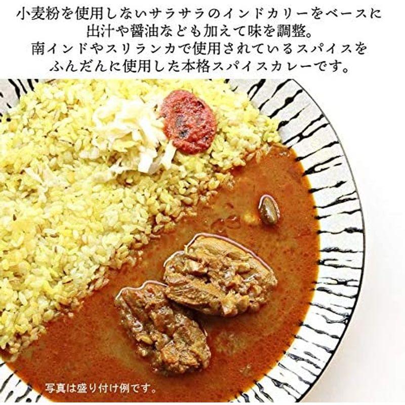 般゜若 チキンカレー ×2個 セット レトルトカレー PANNYA監修 パンニャ