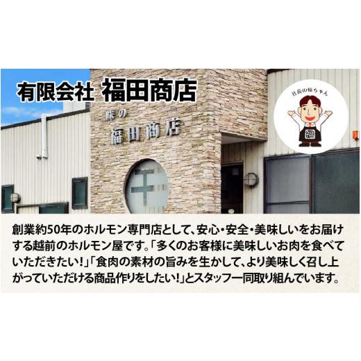 ふるさと納税 福井県 あわら市 味付け 柔らか！牛ハラミ 300g×4袋（計1.2kg）約6〜8人前 ／ 味付け肉 牛肉 小分け タレ漬け 焼肉 バーベキュー 冷凍 アウトド…